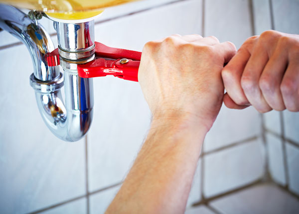 About Loveville Plumbers